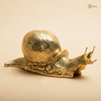 Arka Design Brassy Snail Handcrafted Brass Animal Sculpture for Elegant Home Décor