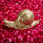 Arka Design Brassy Snail Handcrafted Brass Animal Sculpture for Elegant Home Décor