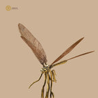 Arka Design Perchfly Art – Handcrafted Brass Bird Sculpture for Luxury Home Décor